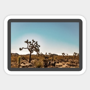 Joshua Tree National Park, California Sticker